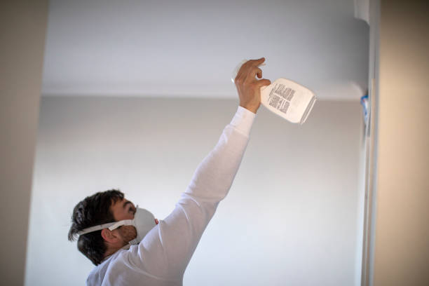 Best Home Mold Removal  in La Cygne, KS