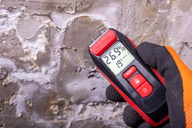 Best Home Mold Removal  in La Cygne, KS