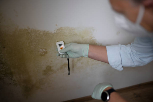 Best Professional Mold Removal  in La Cygne, KS