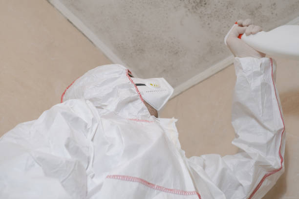 Best Residential Mold Removal  in La Cygne, KS