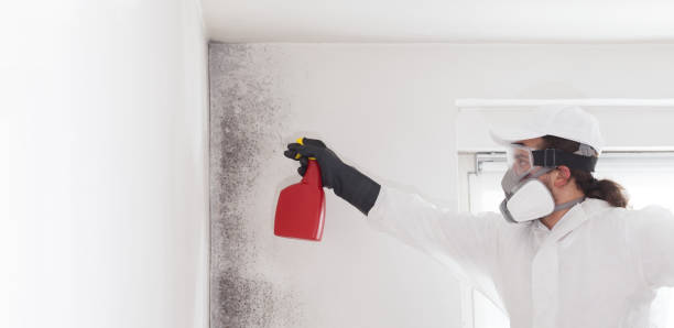 Best Mold Removal Specialists  in La Cygne, KS