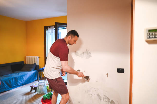 Best Best Mold Removal Companies  in La Cygne, KS